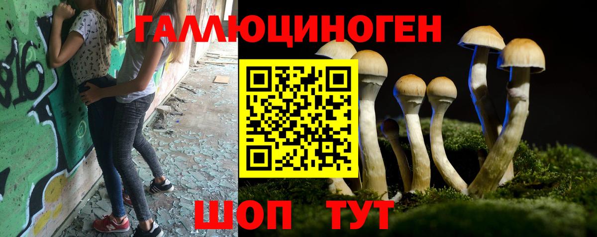Псилоцибиновые грибы прущие грибы  Вход с VPN  Псилоцибиновые грибы Psilocybine cubensis  Белорецк 